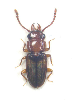e0083097_2319325.jpg