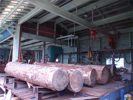 a0061599_209975.jpg