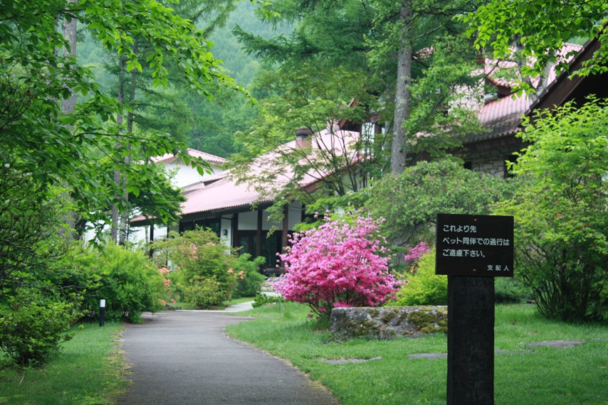 f0034602_2231247.jpg