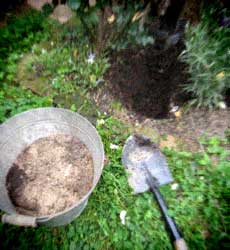 d0077603_15575281.jpg