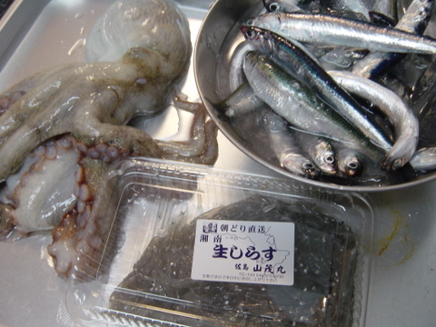 a0093509_022769.jpg