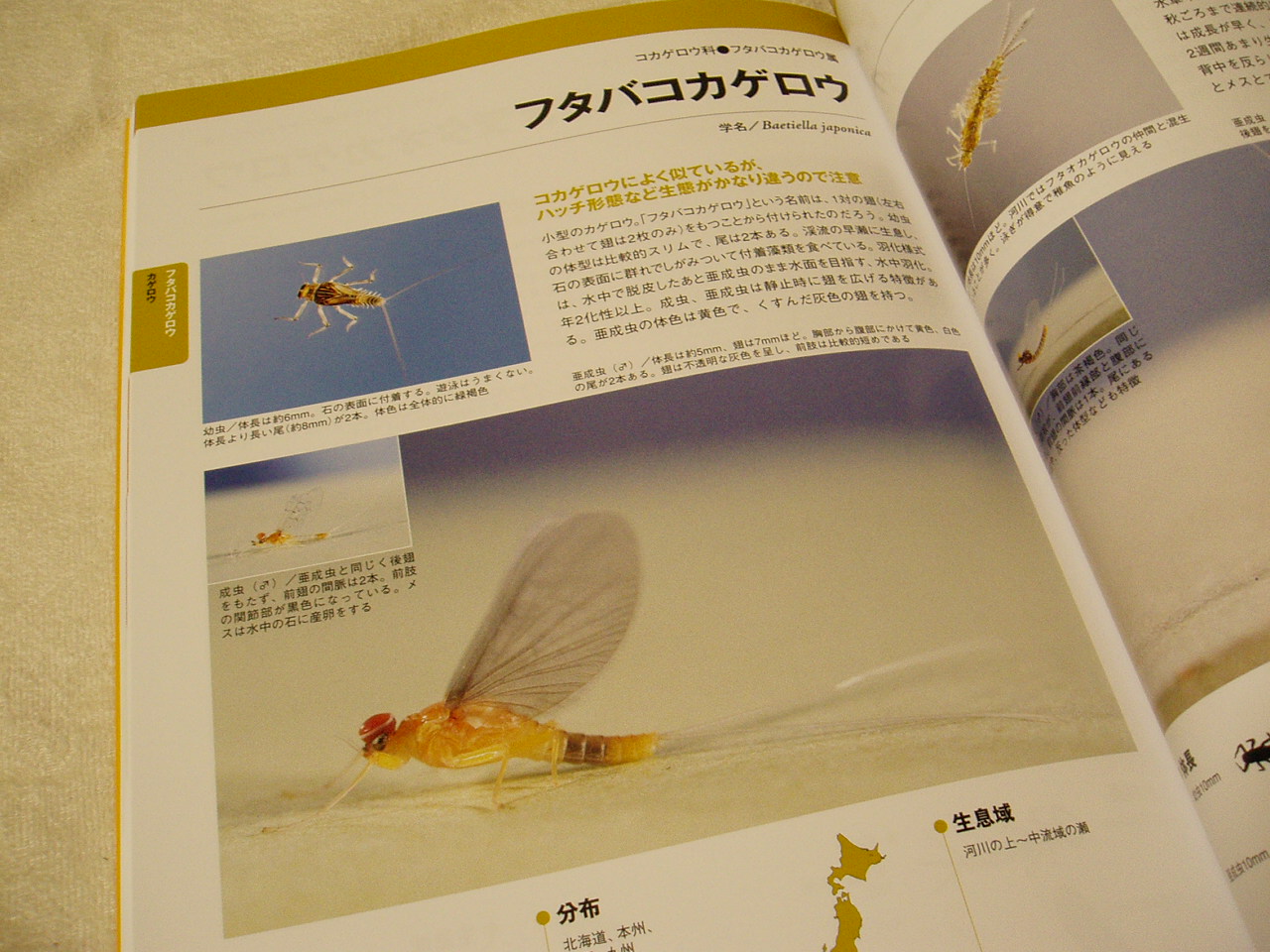 f0137709_026425.jpg