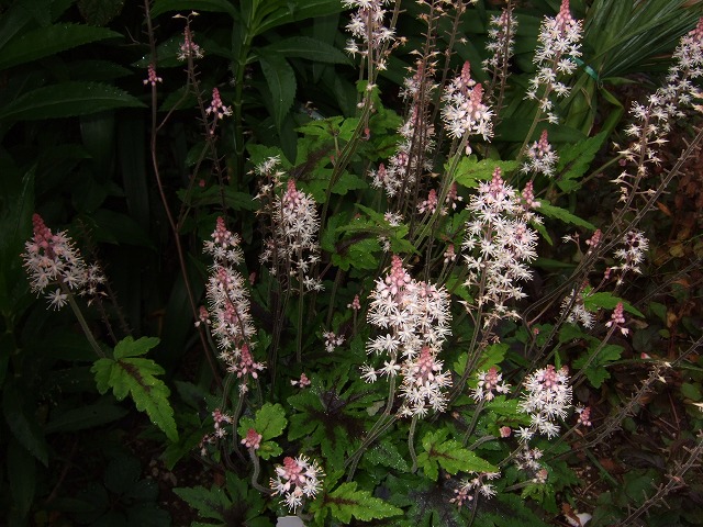 b0107310_1629518.jpg