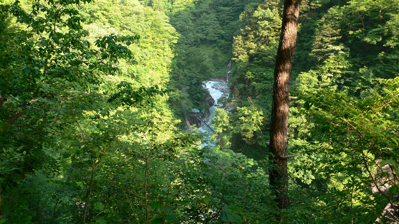 e0020525_21282784.jpg