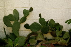 f0151327_21111458.jpg
