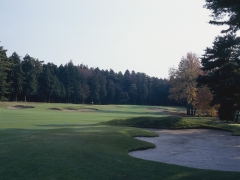 e0126330_7334134.jpg