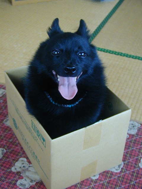 a0009750_17364168.jpg