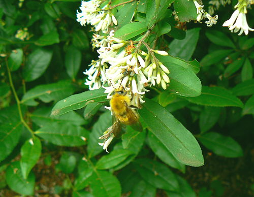 d0091754_052927.jpg