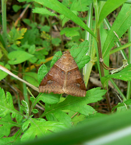 d0091754_123693.jpg