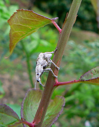 d0091754_2422823.jpg