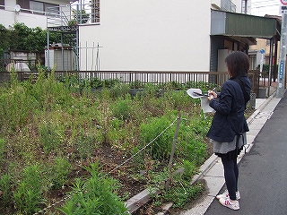 c0127058_17211055.jpg