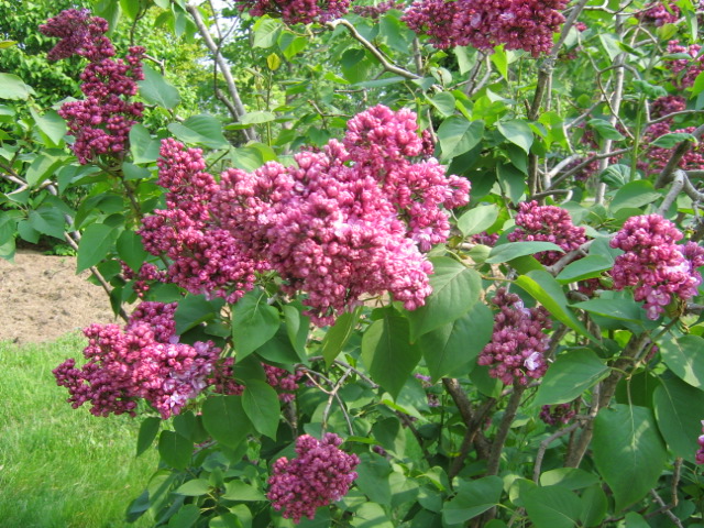 f0122259_061353.jpg
