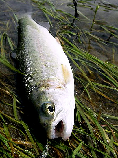 f0084561_161121100.jpg