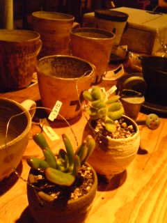 b0073970_2164520.jpg