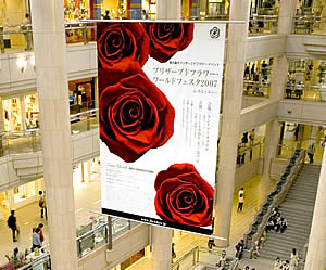 e0142170_2303774.jpg