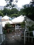 d0078172_19455518.jpg