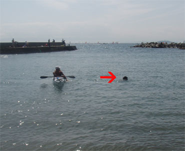 f0045872_014642.jpg