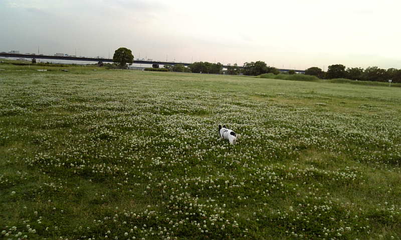 b0130273_0422014.jpg