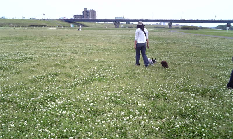 b0130273_0443051.jpg
