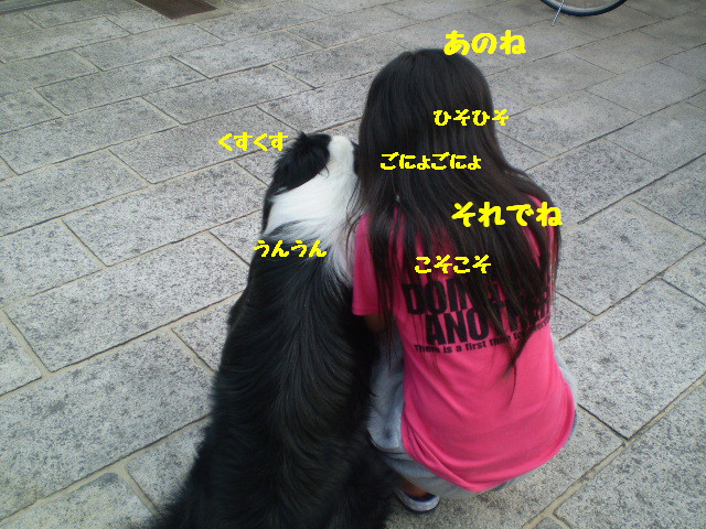 e0117976_13172286.jpg