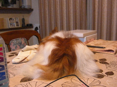 d0116578_2341682.jpg
