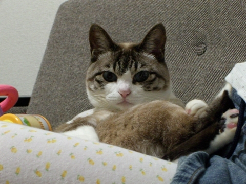 a0013479_23564686.jpg