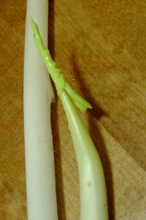 a0091680_222914100.jpg