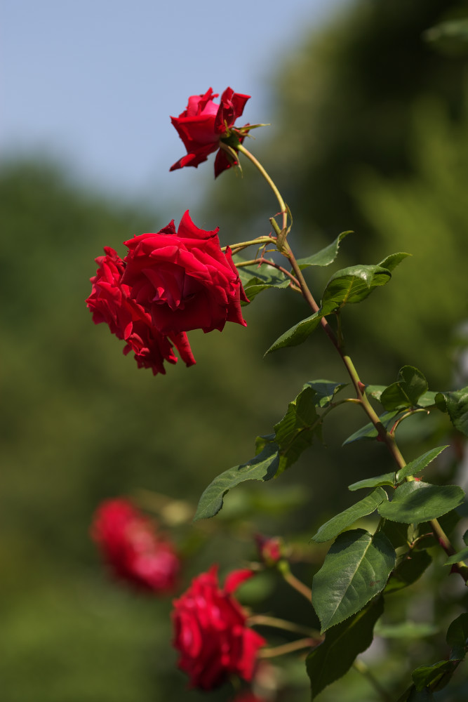 a0083081_1613331.jpg