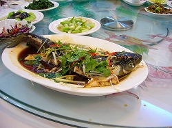 b0122182_1736337.jpg