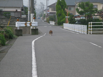 d0137083_2112610.jpg