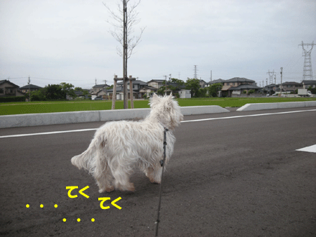 e0066883_2223252.gif