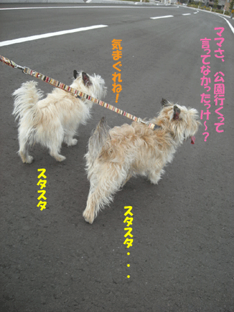 e0066883_2225555.gif