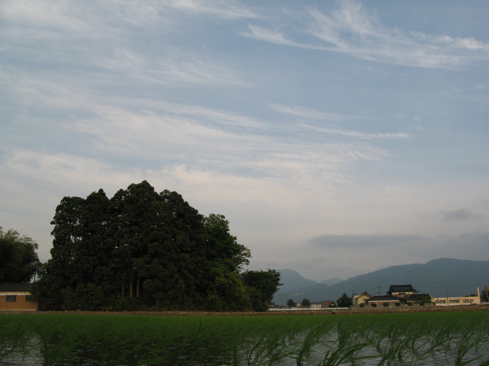 d0047885_1834849.jpg