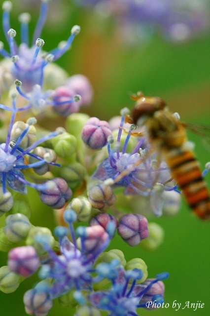 b0128787_20201172.jpg