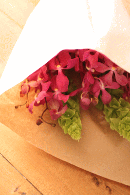 d0100192_21462265.gif