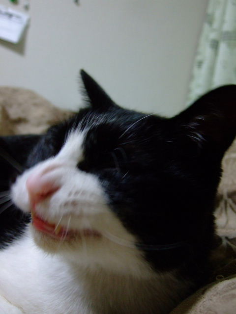 c0150193_9474318.jpg