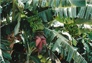 e0120294_18455989.jpg