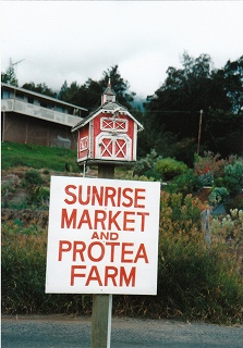 e0120294_1849116.jpg