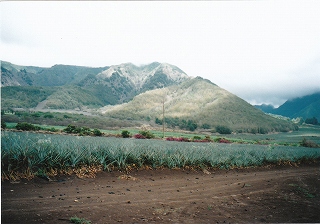 e0120294_18532990.jpg