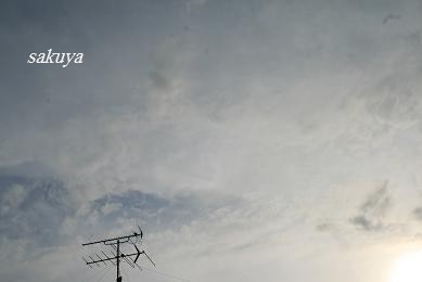e0122194_22364550.jpg