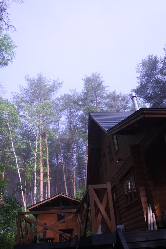 f0129994_2103494.jpg