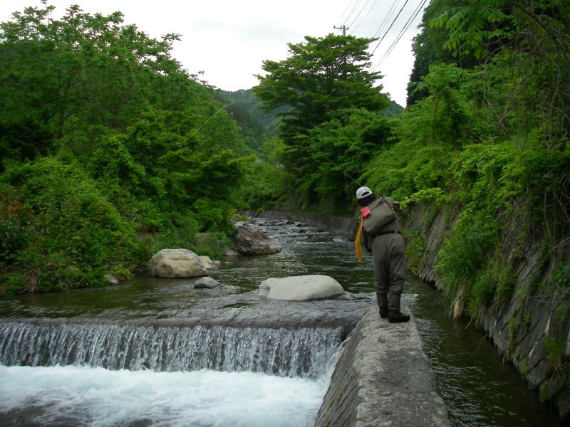 f0129994_21142752.jpg