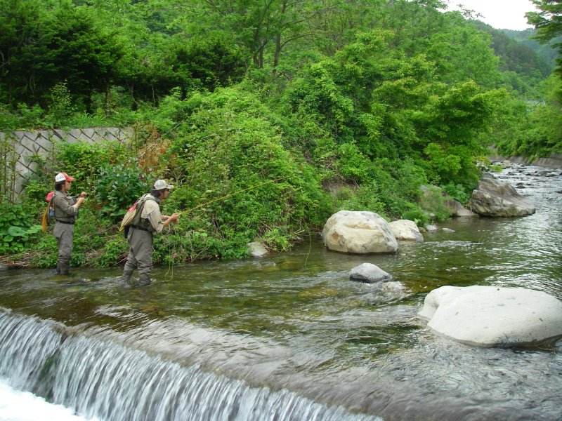 f0129994_21144711.jpg