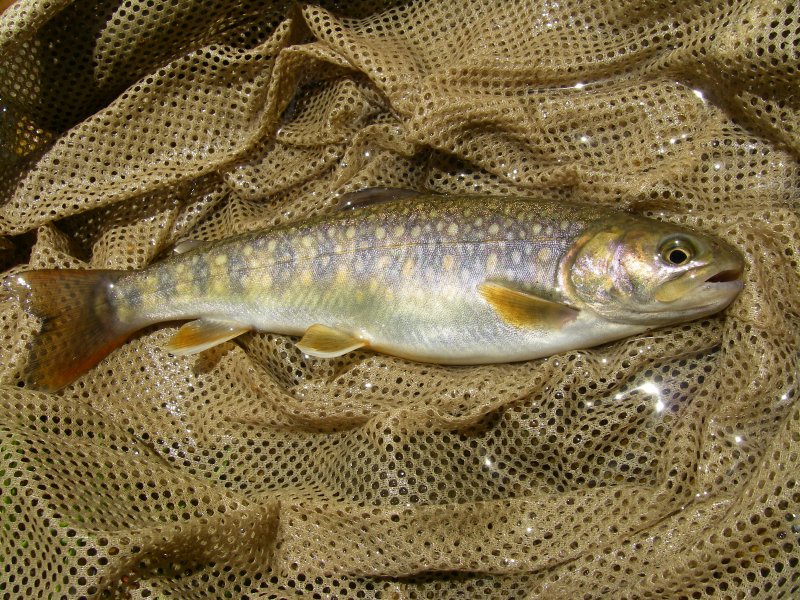f0129994_2175186.jpg