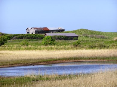 e0010495_5475839.jpg