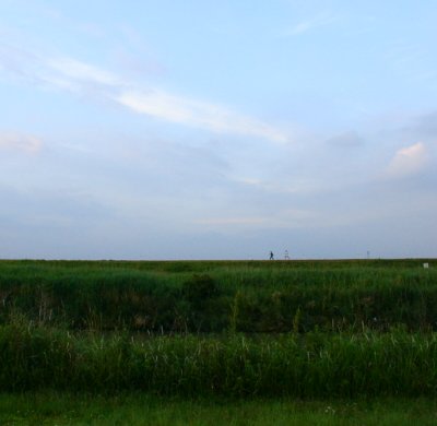 a0031000_1572577.jpg