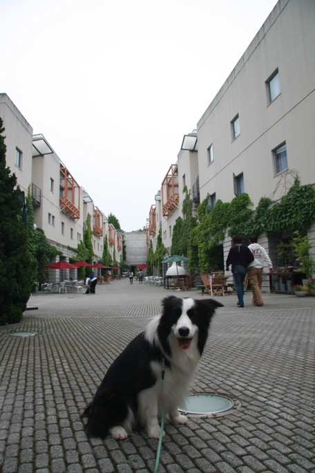 f0034602_211393.jpg