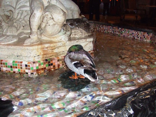 c0062603_2246982.jpg