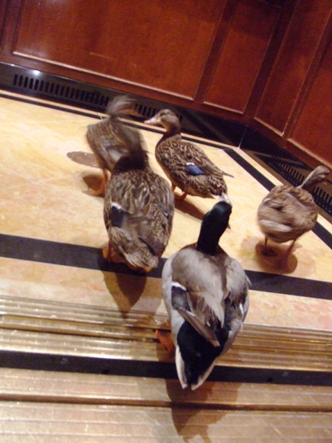 c0062603_22473115.jpg