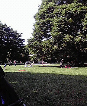 c0014906_20251422.jpg